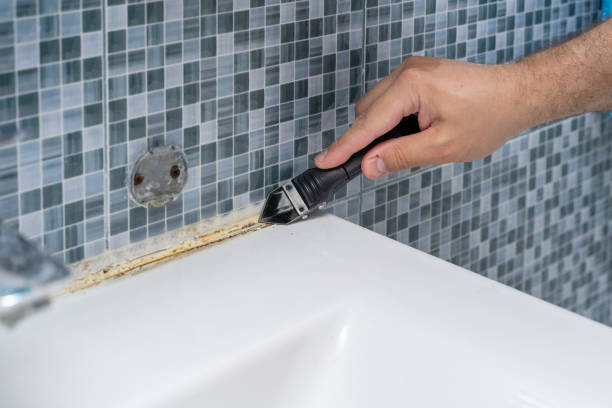 Best Fast Mold Removal  in Destin, FL